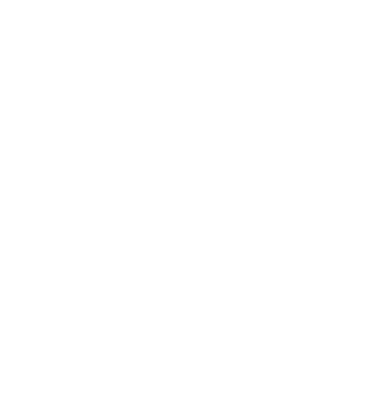 Wills Photography Logo